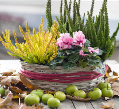 Terrasse & Balkon im November