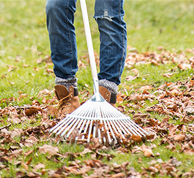 Allgemeine Gartenarbeit im Juli