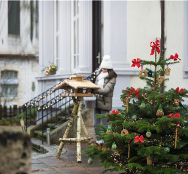 Allgemeine Gartenarbeit im Dezember